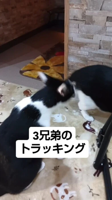 画像633