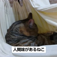 画像635