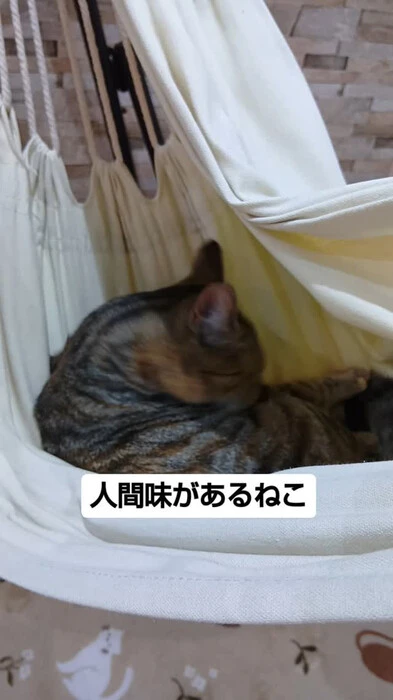 画像635
