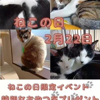 画像637