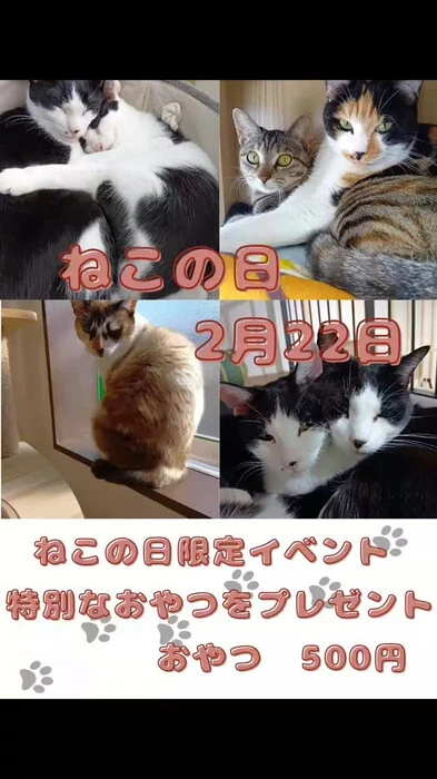 画像637