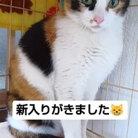 画像639