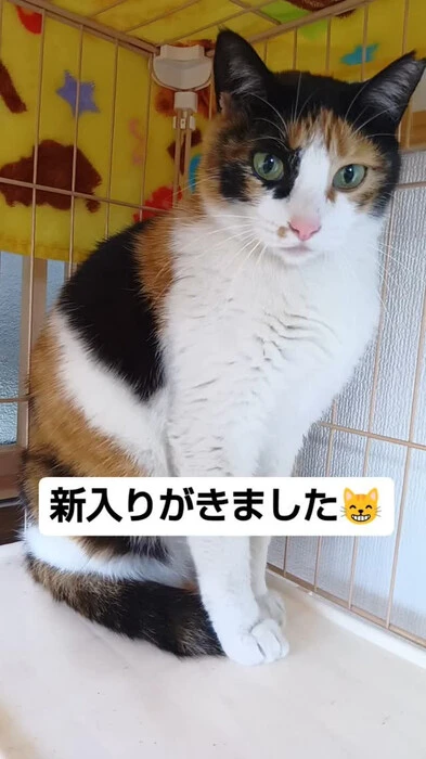 画像639