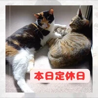 画像647