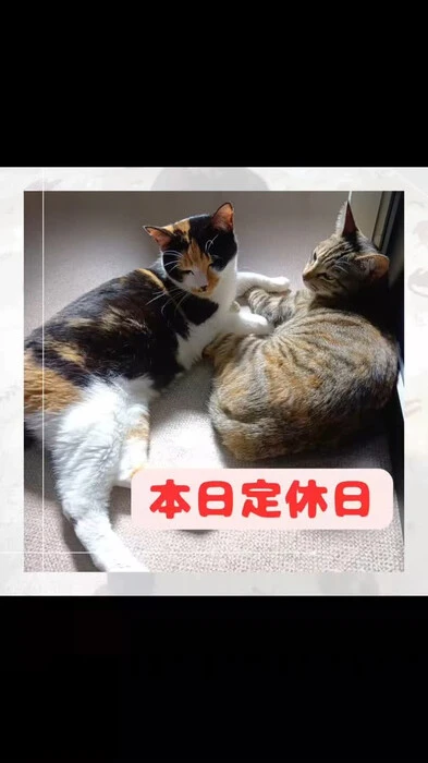 画像647