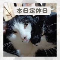画像653