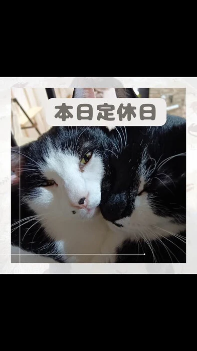 画像653