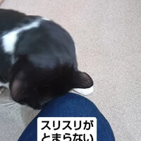 画像659