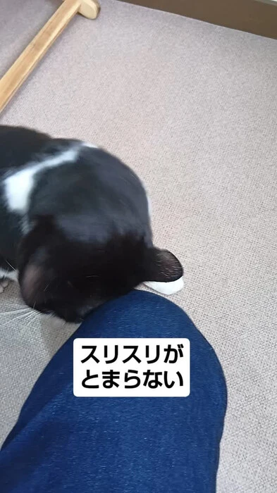 画像659