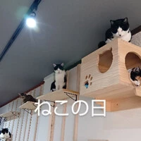 画像661
