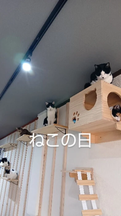 画像661