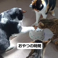 画像663