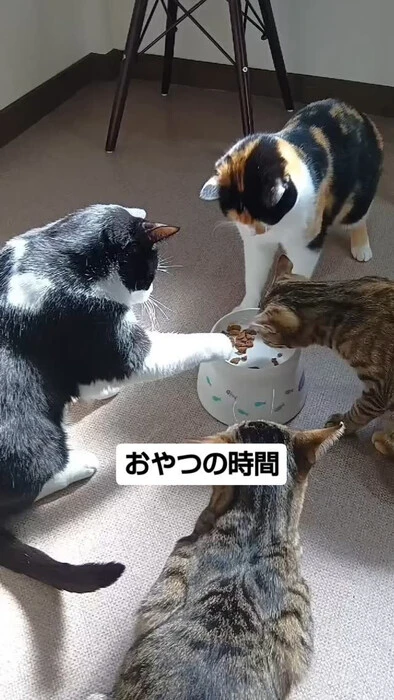 画像663