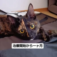 画像665