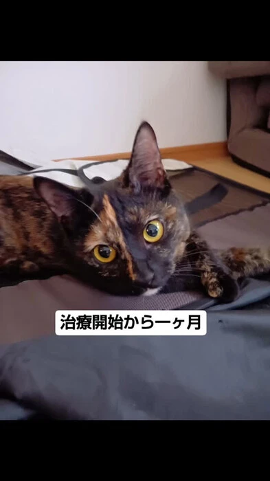 画像665
