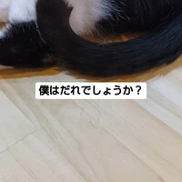 画像667