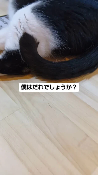 画像667