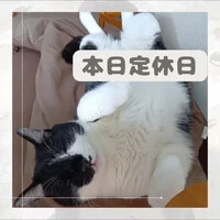 画像669