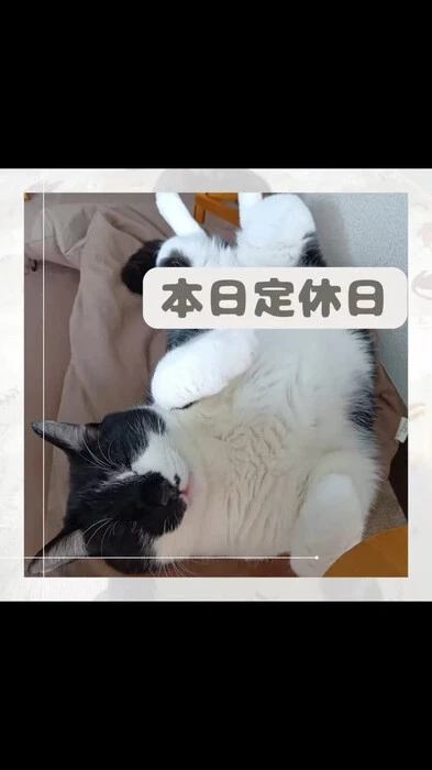 画像669