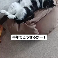 画像671