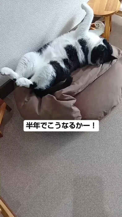 画像671