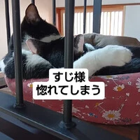 画像673
