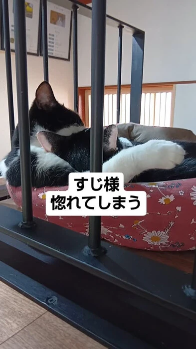 画像673