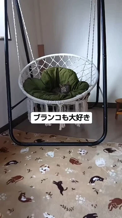 画像675