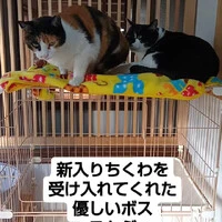 画像677