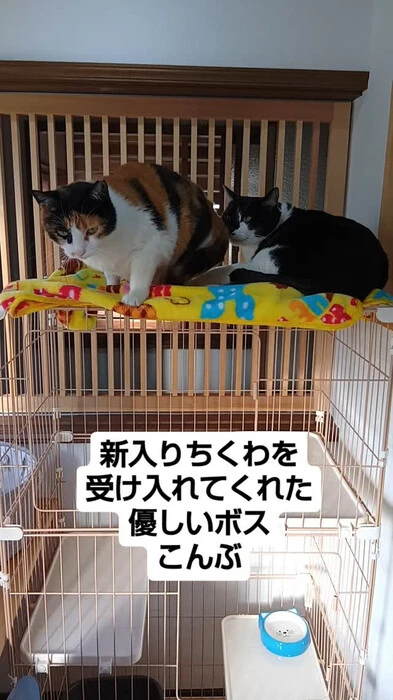 画像677