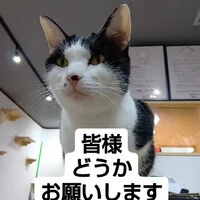 画像681