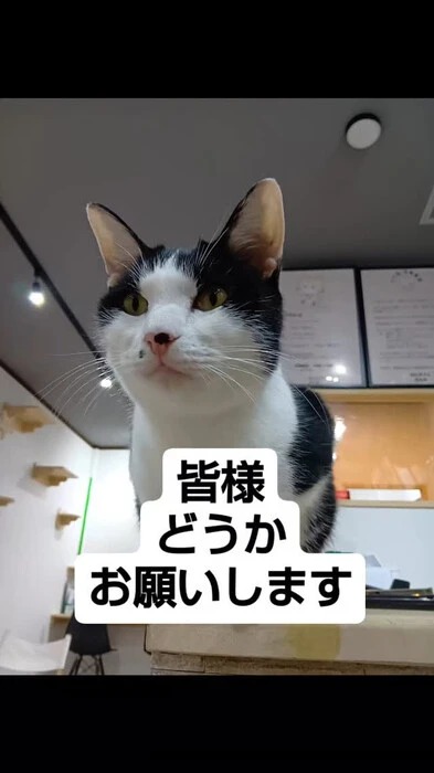 画像681