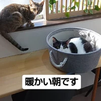 画像683