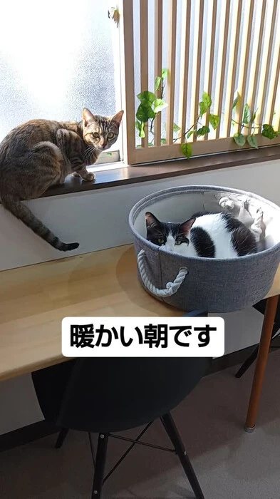 画像683