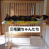 画像685