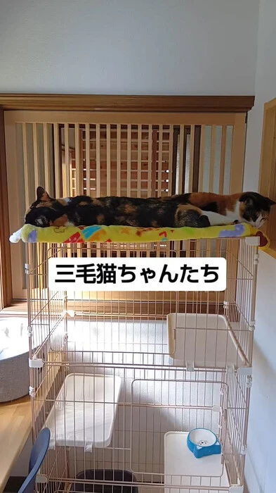 画像685