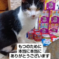 画像687