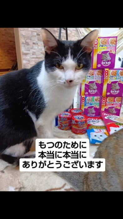 画像687