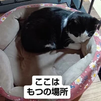 画像689