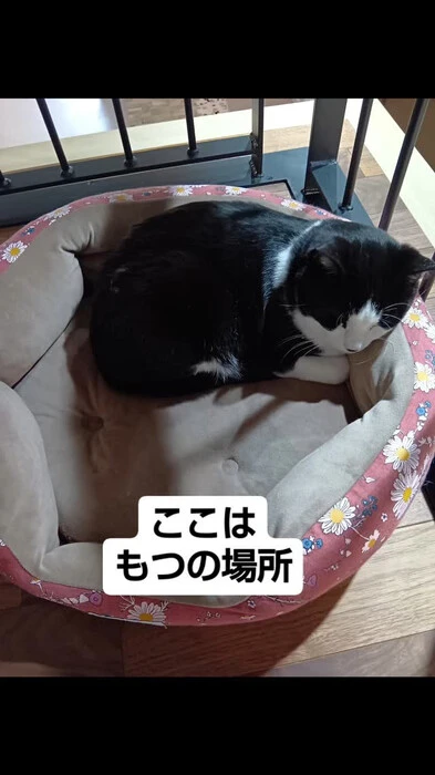 画像689