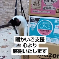 画像691