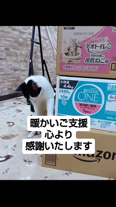 画像691