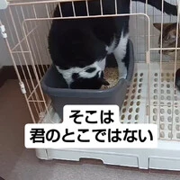 画像693