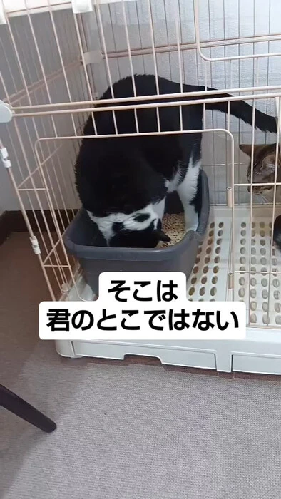 画像693