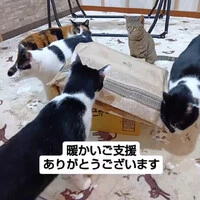 画像695