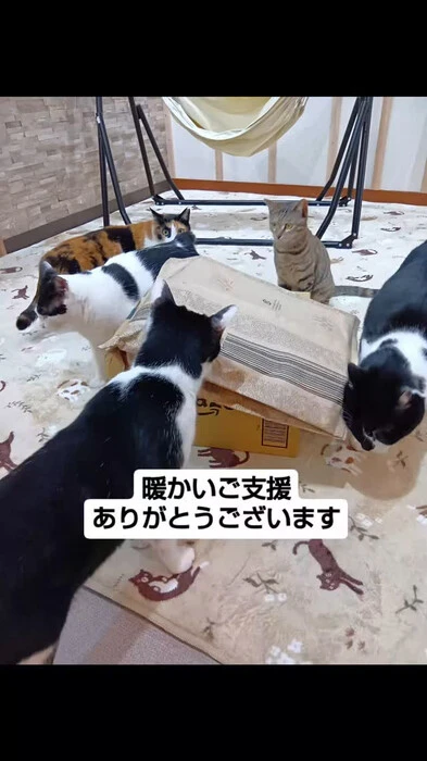 画像695