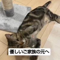 画像697