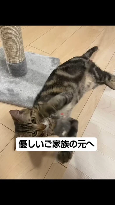 画像697