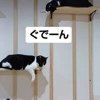 画像701