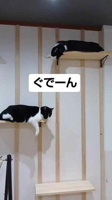 画像701